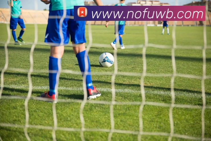 欧宝官方版网站登录入口 - 欧宝(中国)平台生态图